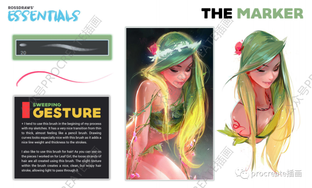 图片[3]-插画师RossDraws常用的ps人像插画笔刷【0414】-procreatechahua