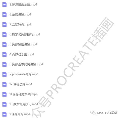 图片[4]-人像厚涂ipad教程+色卡+笔刷+配套教材+作品集【0485】-procreatechahua