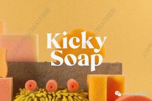 时尚简约高端华丽优雅的Mikela Light英文字体【0451】-procreatechahua