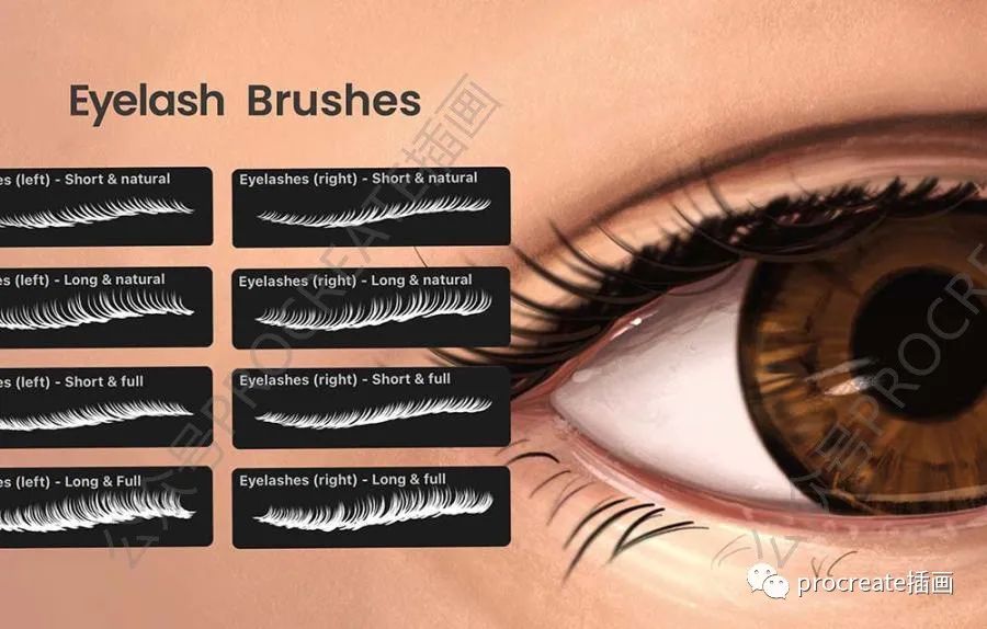 图片[4]-人物肖像插画的Procreate笔刷和辅助图形素材包【0466】-procreatechahua