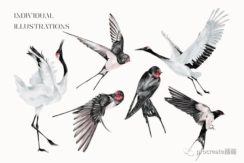 图片[4]-日本风格日式元素的手绘水彩插画png素材包【0528】-procreatechahua