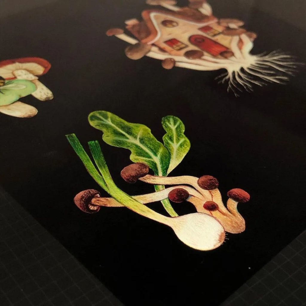 图片[4]-插画师Jamie Green 森系儿童插画集【0552】-procreatechahua