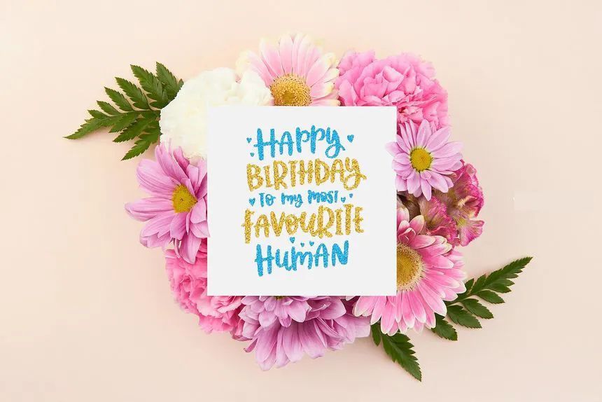 图片[4]-54+款闪粉闪光效果的Adobe Illustrator矢量笔刷【0600】-procreatechahua