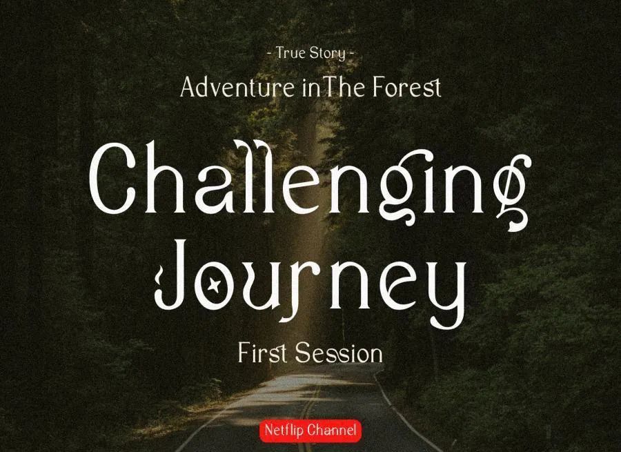 图片[4]-现代优雅的英文衬线字体【0632】-procreatechahua