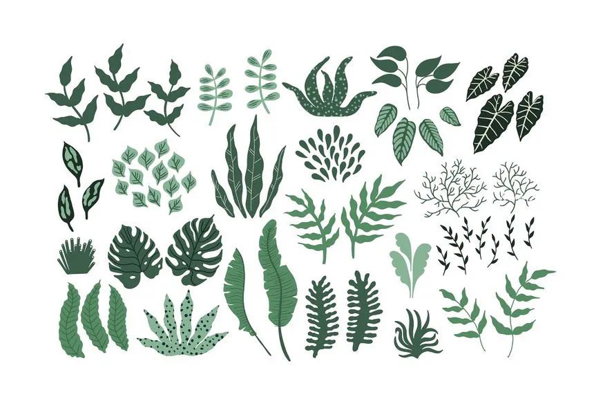 图片[4]-现代抽象的植物花卉元素矢量插画素材包【0680】-procreatechahua