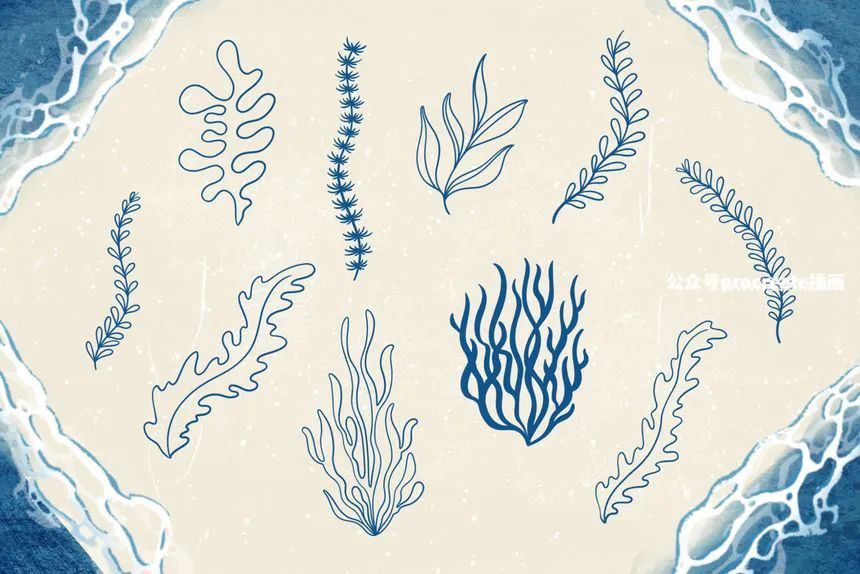 图片[4]-贝壳海藻珊瑚线稿图案笔刷和Procreate纹理笔刷【0688】-procreatechahua