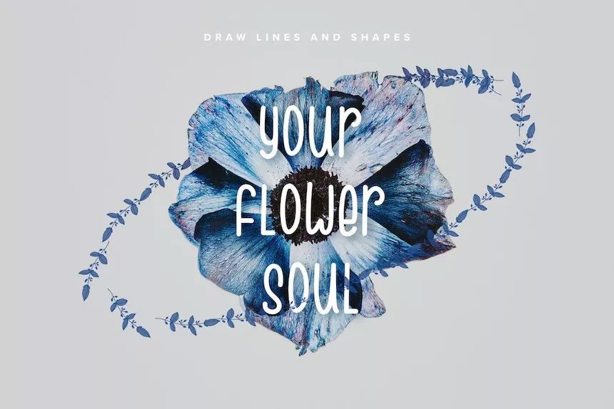 图片[4]-160款创意好看的Procreate花型procreate笔刷【0061】-procreatechahua