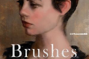 优雅复古的手绘古典油画效果Photoshop笔刷【0745】-procreatechahua