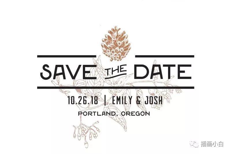 图片[4]-黑白素描效果的植物矢量插画素材【0085】-procreatechahua