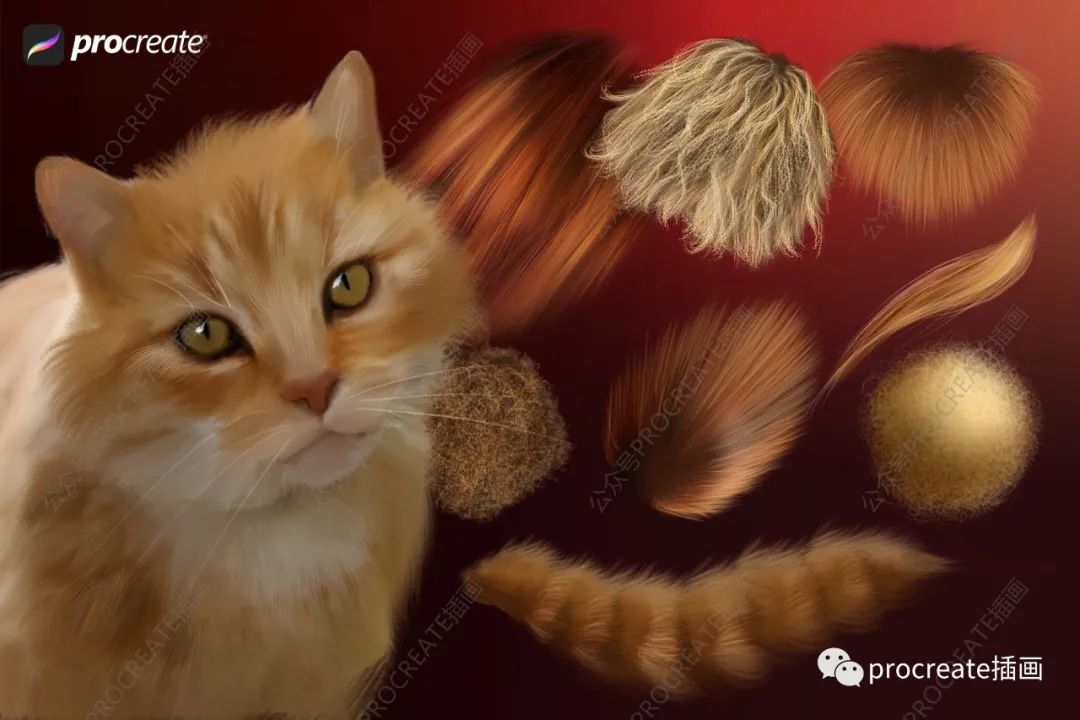 32个逼真蓬松效果的动物毛发Procreate笔刷【0333】-procreatechahua