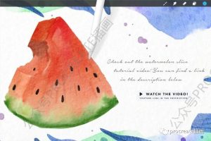 12款精致水彩水粉procreate笔刷【0340】-procreatechahua