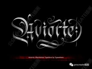 17世纪哥特式优雅艺术感黑体花体衬线英文字体【0398】-procreatechahua