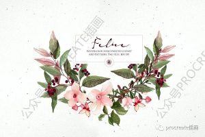 水彩艺术绘画风格的植物花卉主题PNG插画素材【0422】-procreatechahua
