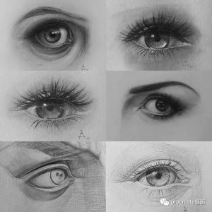 ins人体素描课（vilppu）【0424】-procreatechahua