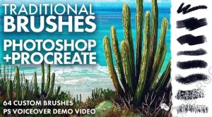 64款传统纹理效果的Photoshop和Procreate插画笔刷【0425】-procreatechahua