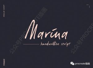 超美且温暖的女性化现代英文手写字体【0431】-procreatechahua