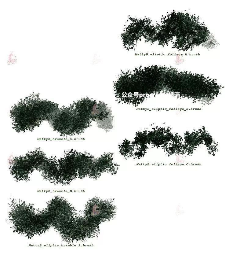 图片[6]-91款自然植被植物草坪树木园林procreate笔刷【001】-procreatechahua