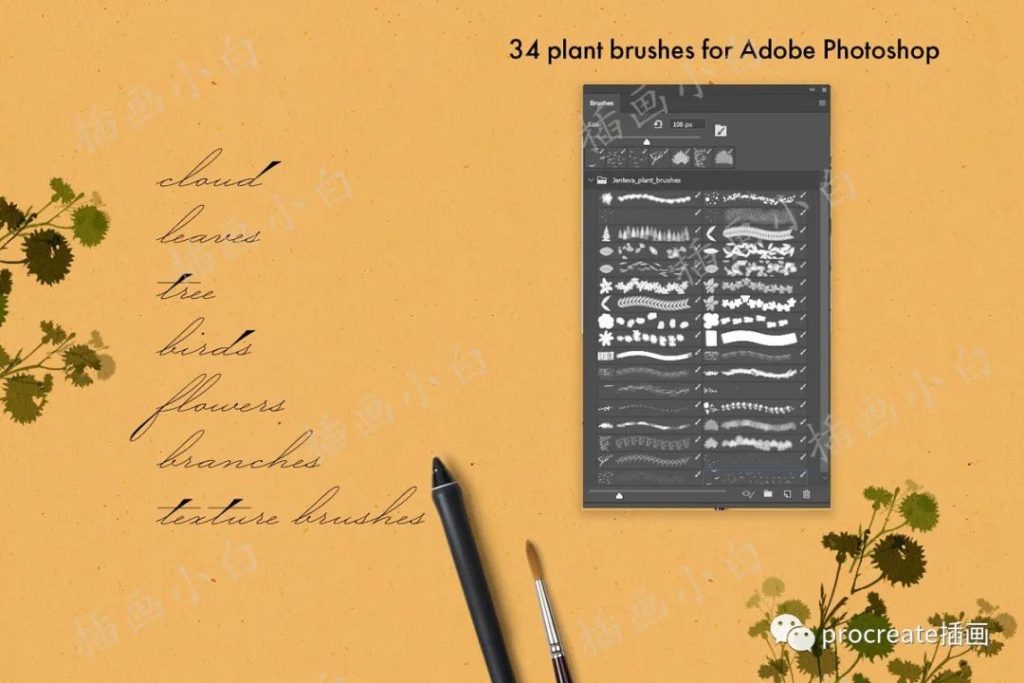 图片[5]-34款森林植物叶子元素ps笔刷【0182】-procreatechahua