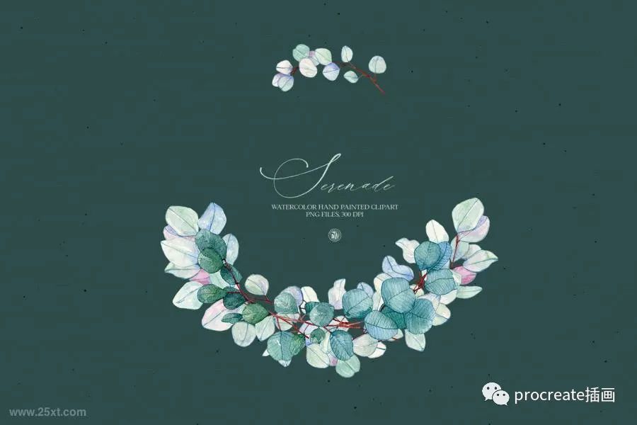 图片[5]-清新淡雅手绘风格的水彩花环PNG插画素材【0429】-procreatechahua