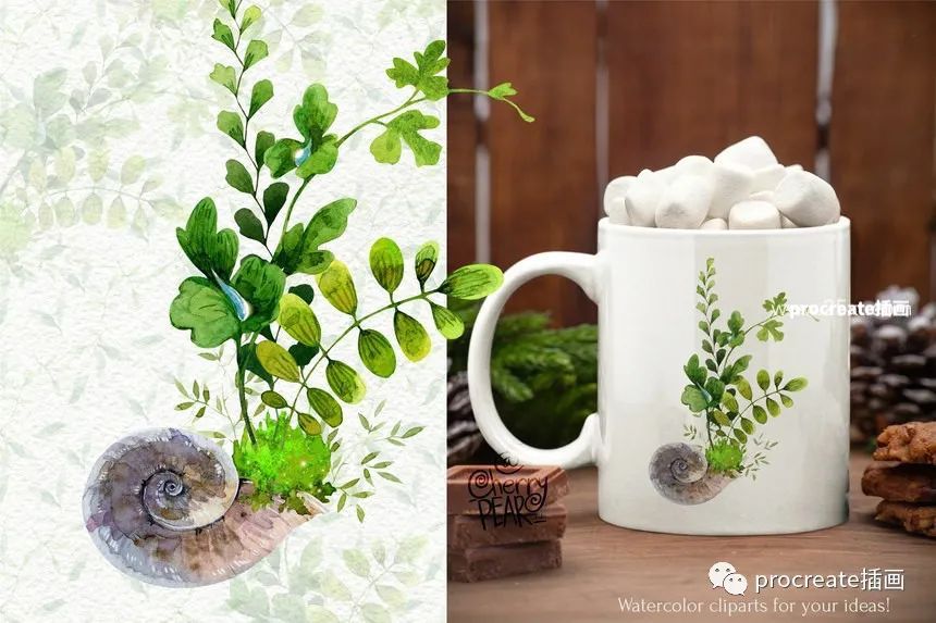 图片[5]-森林苔藓植物和蜗牛蘑菇小草png插画素材【0536】-procreatechahua