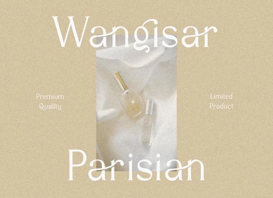 图片[5]-现代优雅的英文衬线字体【0632】-procreatechahua