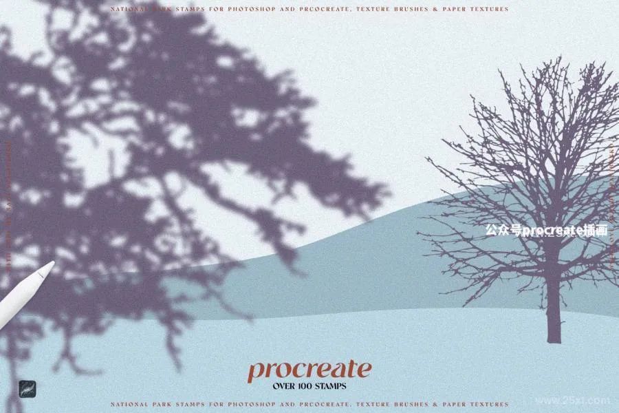图片[5]-一套Procreate图案纹理笔刷素材【0674】-procreatechahua