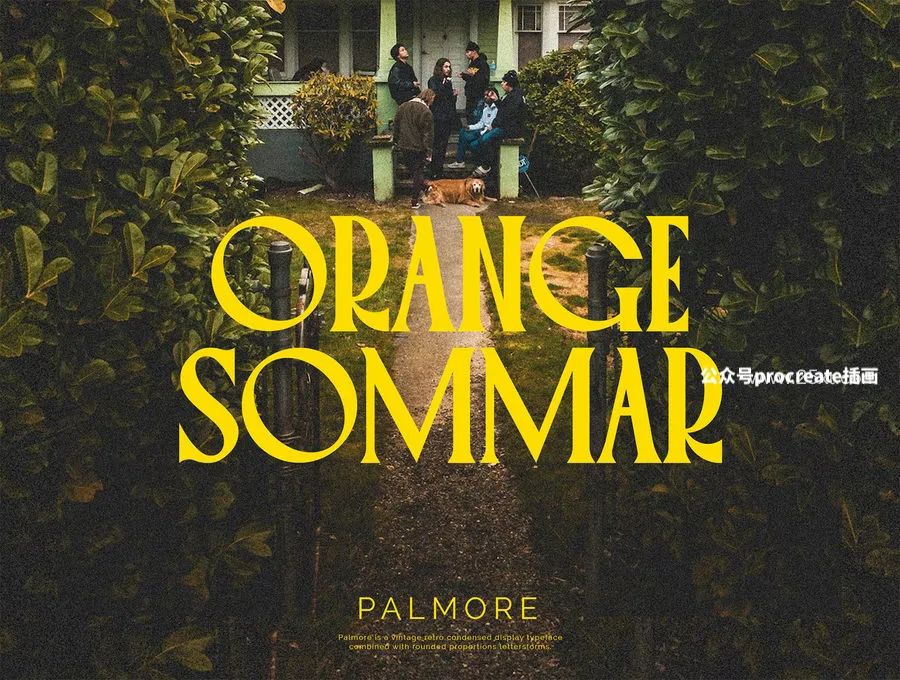 图片[5]-复古典雅的创意标题圆形衬线英文字体【0774】-procreatechahua