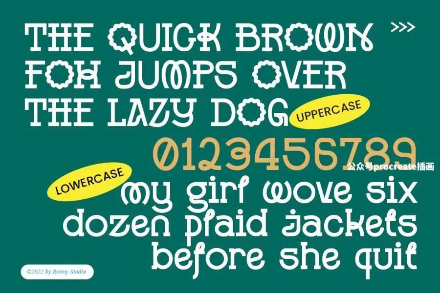 图片[5]-顺滑流畅极具设计感的英文衬线字体【0792】-procreatechahua