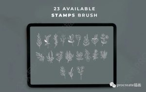 23个花环花朵树叶的Procreate印章图案笔刷【0475】-procreatechahua