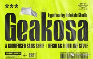 时尚的瘦长条风格的无衬线英文字体【0486】-procreatechahua