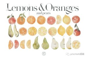 橙子、柠檬和梨水果水彩花卉png插画素材【0517】-procreatechahua