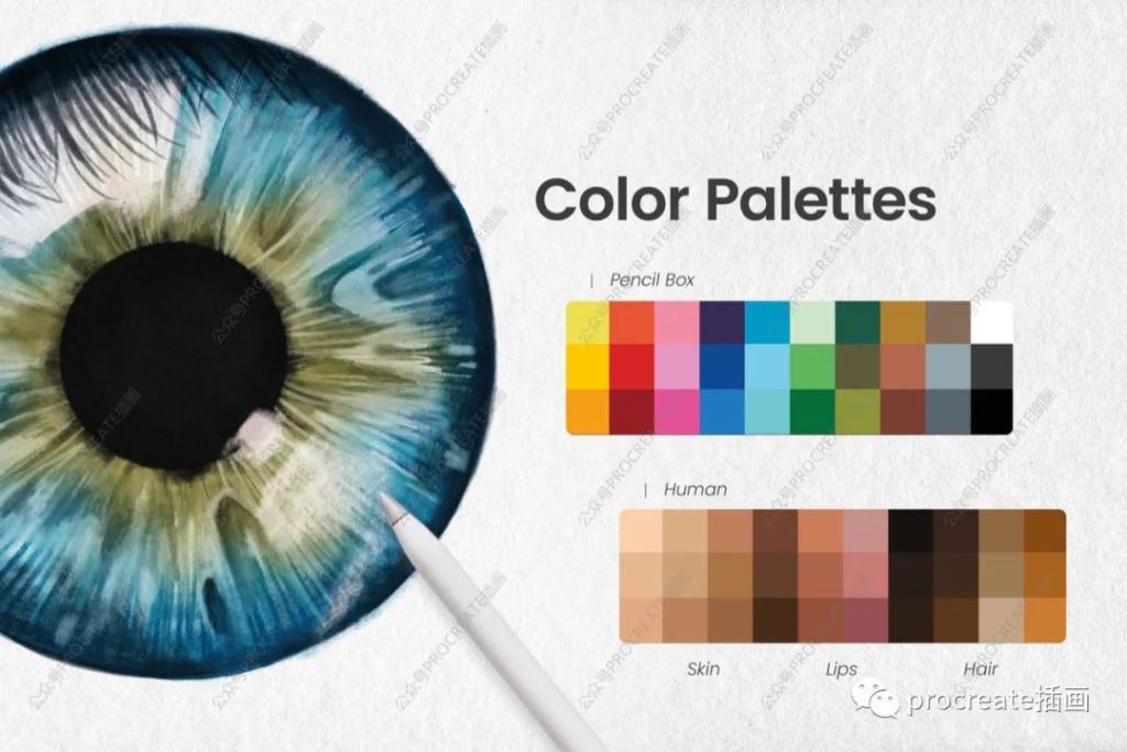 图片[6]-着色笔&石墨笔效果终极Procreate笔刷【0334】-procreatechahua