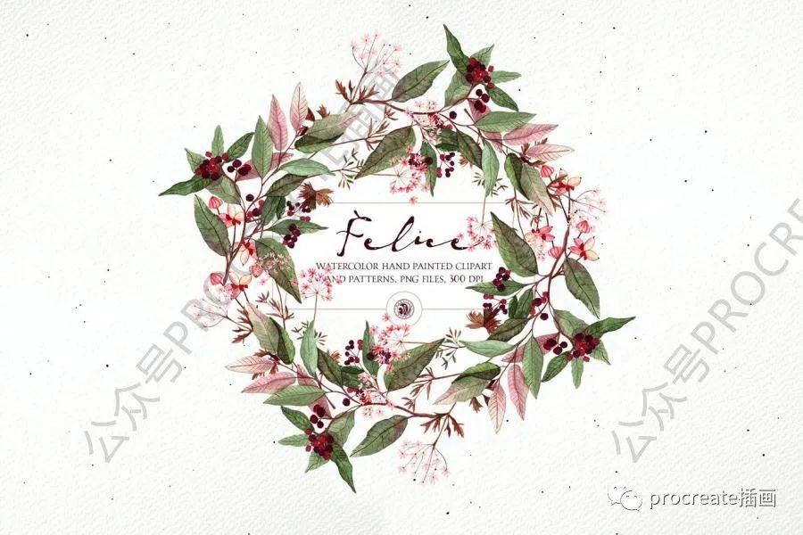 图片[6]-水彩艺术绘画风格的植物花卉主题PNG插画素材【0422】-procreatechahua