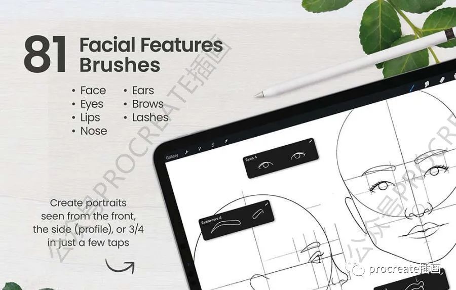 图片[6]-人物肖像插画的Procreate笔刷和辅助图形素材包【0466】-procreatechahua