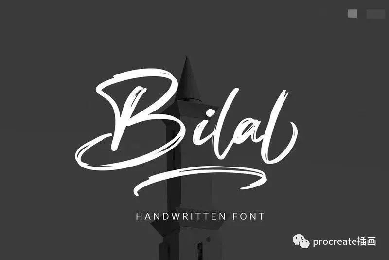 图片[6]-210款漂亮的英文字体素材打包大集合【0523】-procreatechahua