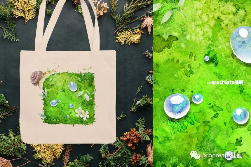 图片[6]-森林苔藓植物和蜗牛蘑菇小草png插画素材【0536】-procreatechahua