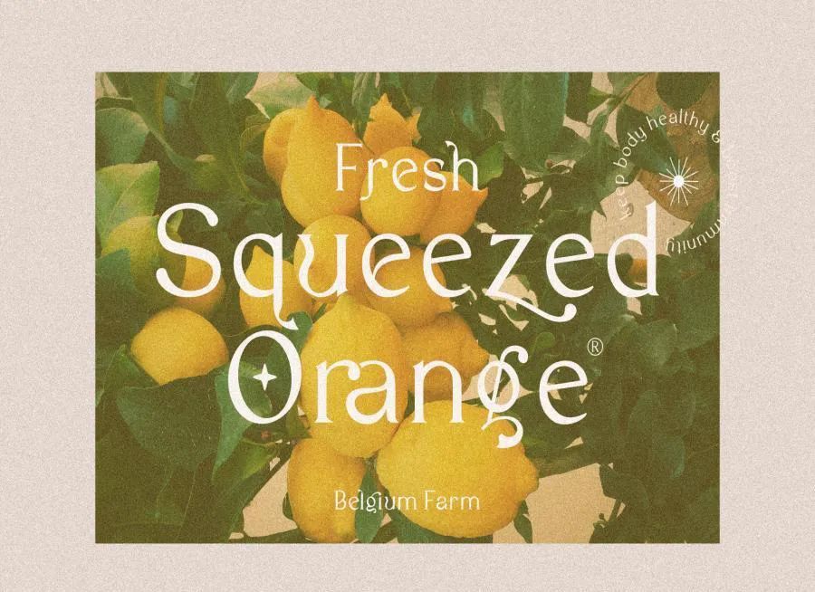 图片[6]-现代优雅的英文衬线字体【0632】-procreatechahua