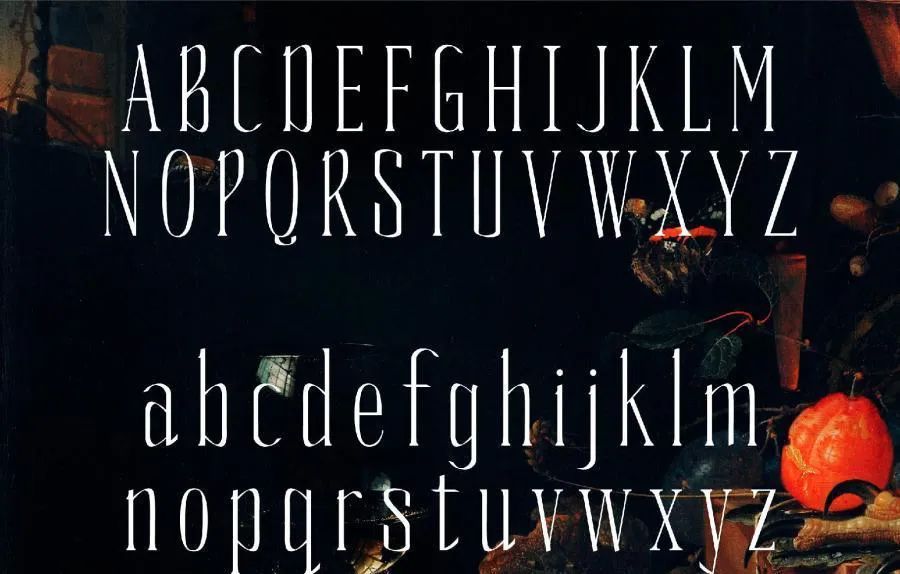 图片[6]-优雅的杂志标题英文衬线字体【0636】-procreatechahua