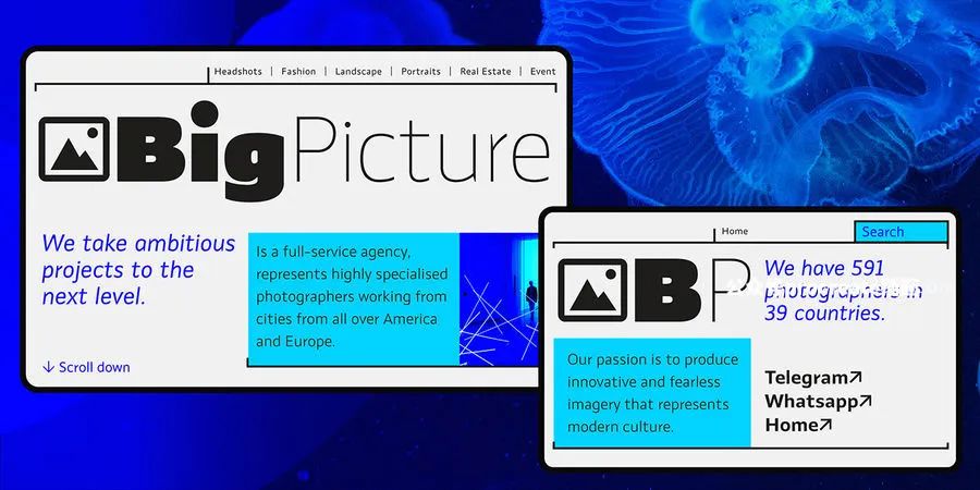 图片[4]-现代极简大方的粗体英文无衬线字体和图标符号字体【0766】-procreatechahua