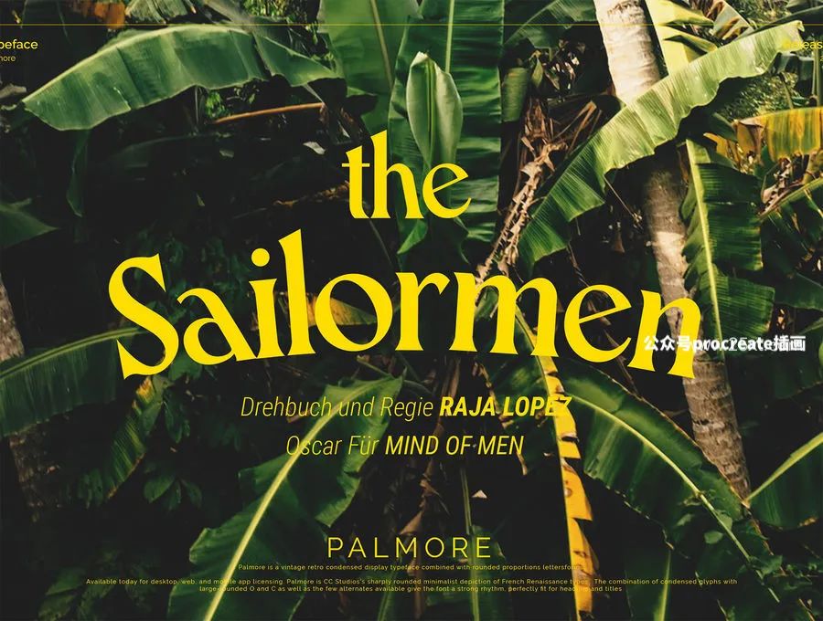 图片[6]-复古典雅的创意标题圆形衬线英文字体【0774】-procreatechahua