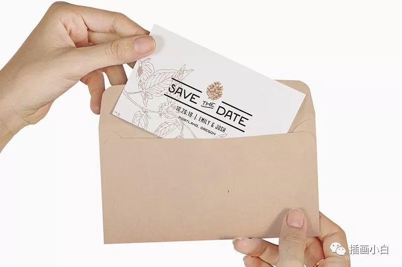 图片[6]-黑白素描效果的植物矢量插画素材【0085】-procreatechahua