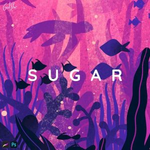 Galshir笔刷8款+色卡+绘画视频【0016】-procreatechahua