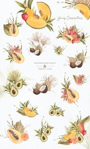 热带水果和树叶的PNG水彩插画素材【0610】-procreatechahua