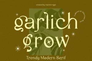 现代优雅的英文衬线字体【0632】-procreatechahua