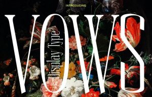 优雅的杂志标题英文衬线字体【0636】-procreatechahua