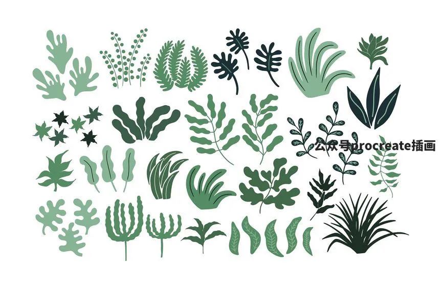 图片[1]-现代抽象的植物花卉元素矢量插画素材包【0680】-procreatechahua