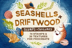 贝壳海藻珊瑚线稿图案笔刷和Procreate纹理笔刷【0688】-procreatechahua