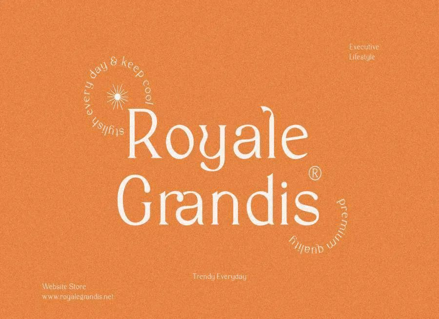 图片[7]-现代优雅的英文衬线字体【0632】-procreatechahua