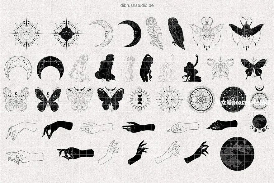 图片[7]-神秘的西方魔法占卜图腾元素Procreate绘画图案笔刷【0778】-procreatechahua