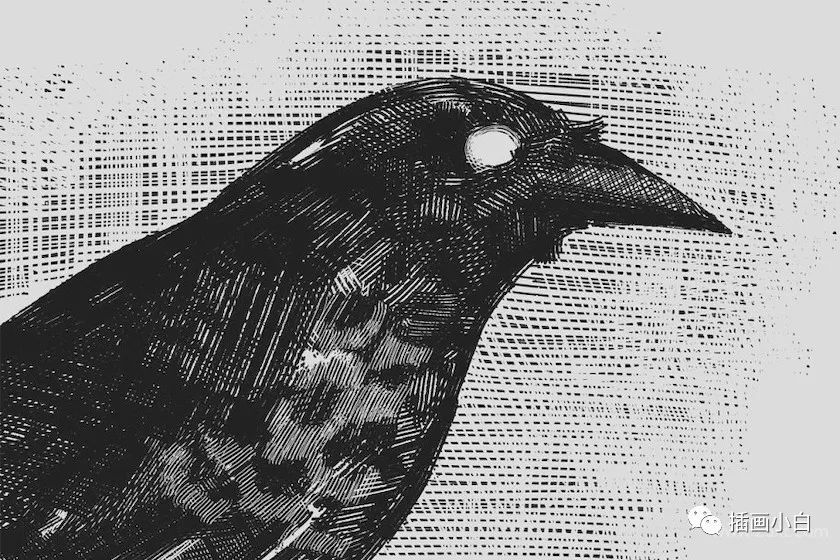 图片[7]-12款手工雕刻procreate笔刷【0090】-procreatechahua